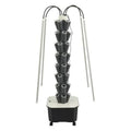 Beeswax Taper Candles- Holiday Red